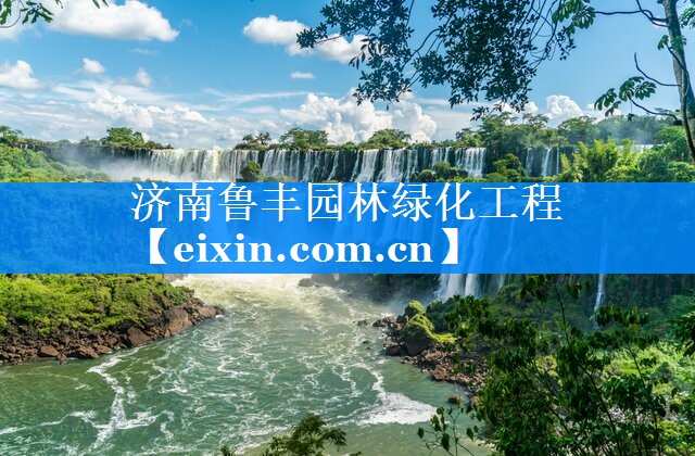 济南鲁丰园林绿化工程