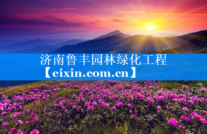 济南鲁丰园林绿化工程