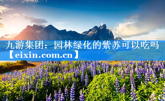 园林绿化的紫苏可以吃吗